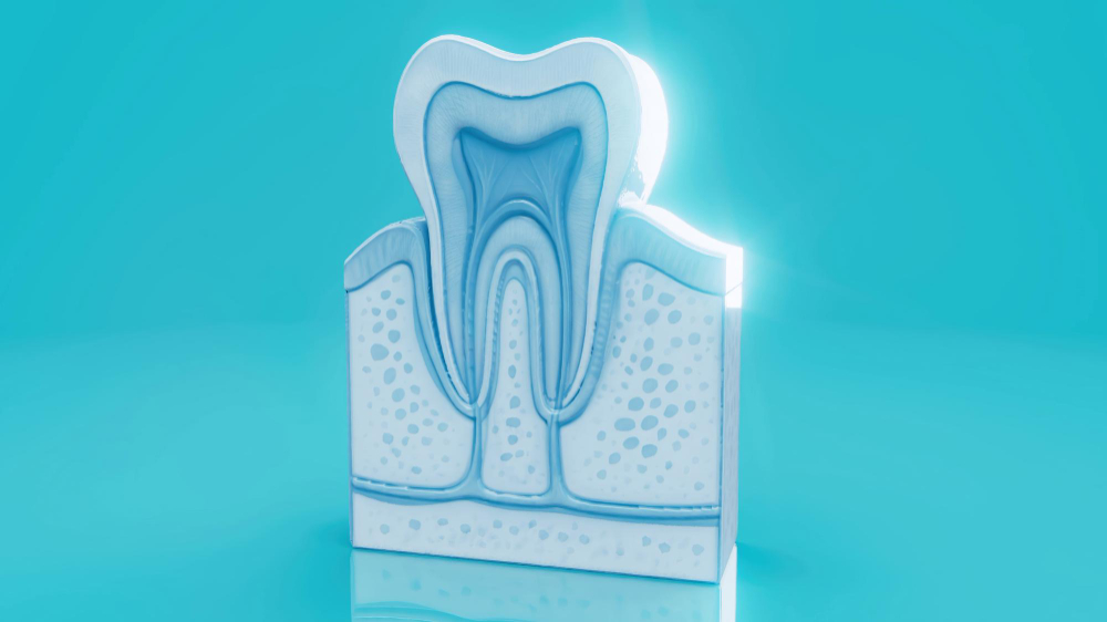 Лечение зубов в рассрочку