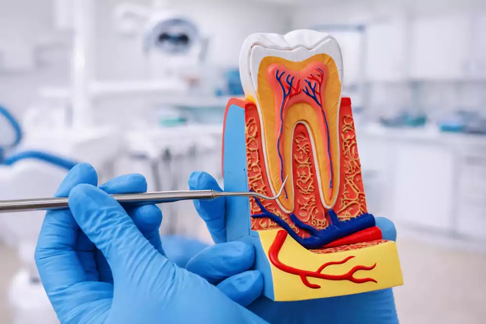 Болит зуб после лечения каналов: норма или ошибка врача